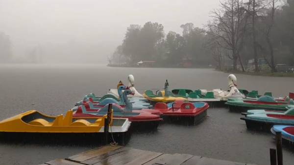 கொடைக்கானல் வனத்துறை 