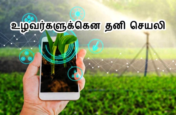 சேவைகள்