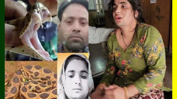  டபுள் ஷாக்