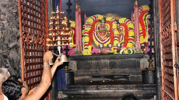 அண்ணாமலையார் தரிசனம் 