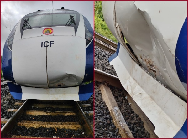 கால்நடைகள் மீது மோதல்