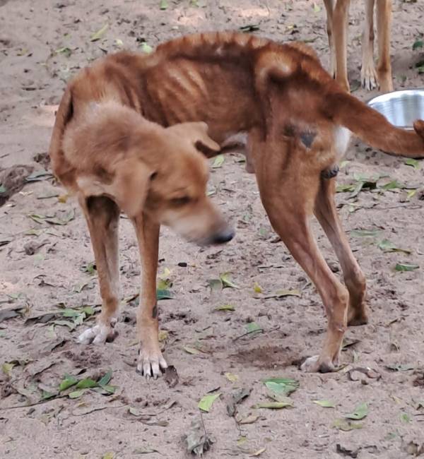 காப்பகம்