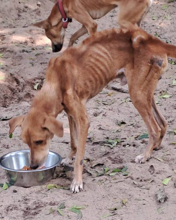  அடித்து காயம்