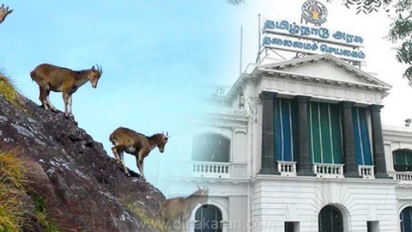 குறத்தி மலை வளம் கூறல் குறத்தி மலை வளம் கூறல்