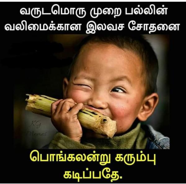 Funny memes collection on sugarcane