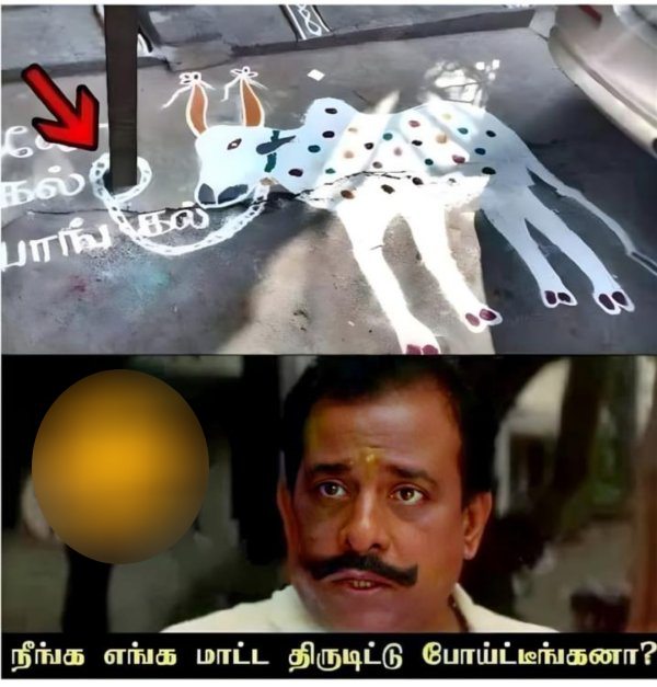 Pongal memes: Funny memes collection on mattu Pongal celebration 16-01-2023
