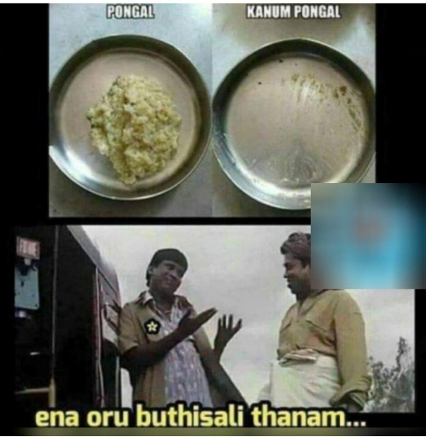 Pongal memes: Funny memes collection on kanum Pongal celebration