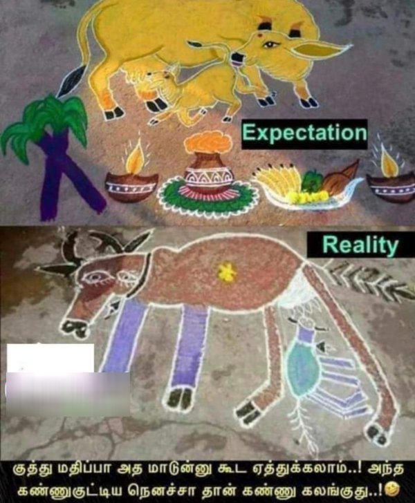 Pongal memes: Funny memes collection on mattu Pongal celebration 16-01-2023