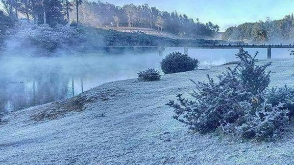 உறைஞ்சு போயிடுச்சே