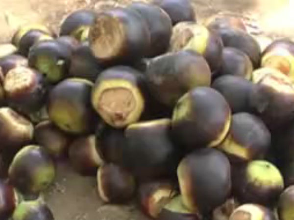 நுங்கு சாப்பிடலாம் எனக் கூறி