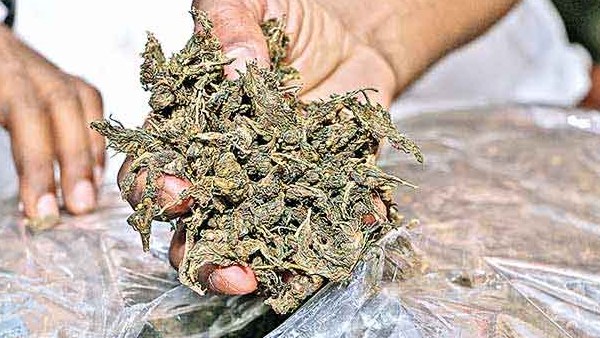 மூன்றாவது ஆப்ரேஷன்