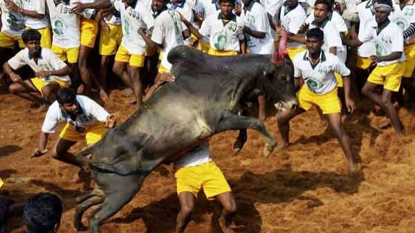 பதற்றம்