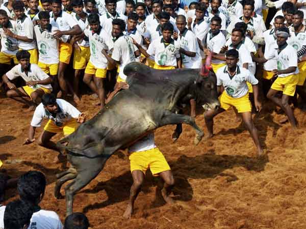 மாடுபிடி வீரர்கள் கவனத்துக்கு.. 