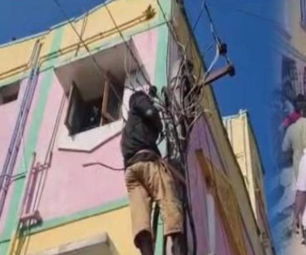 மெப்ஸ் ஏற்றுமதி நிறுவனம்