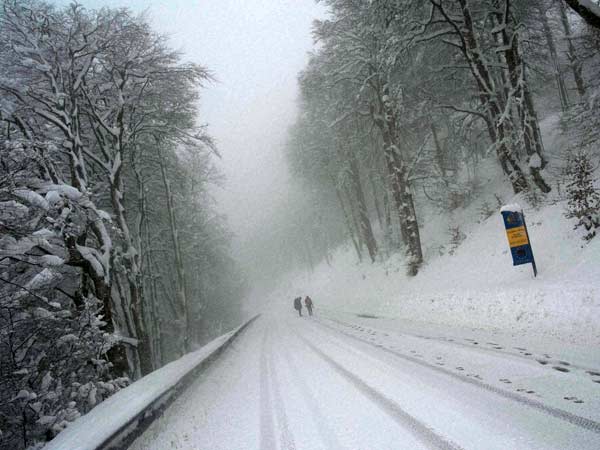 குளிர்காலம்