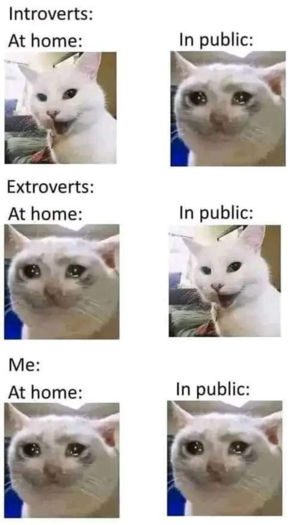 Funny memes collection on World Introvert Day