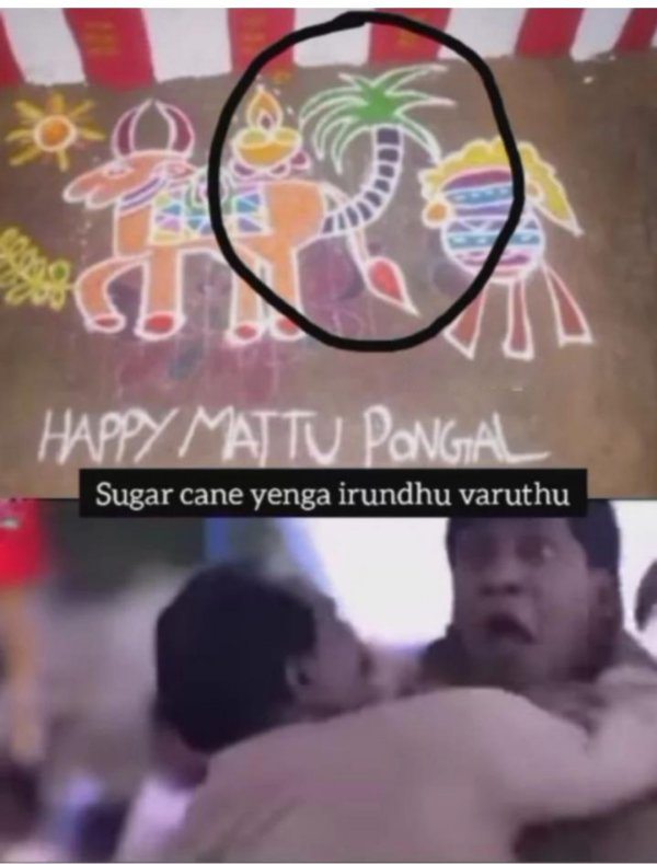Pongal memes: Funny memes collection on mattu Pongal celebration 16-01-2023