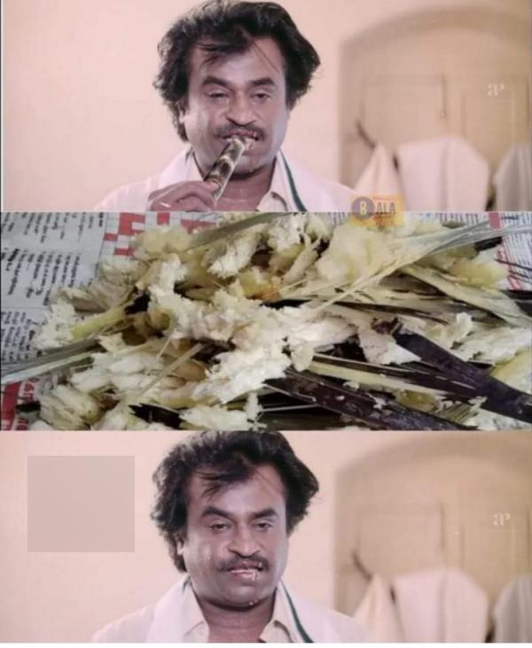 Funny memes collection on sugarcane