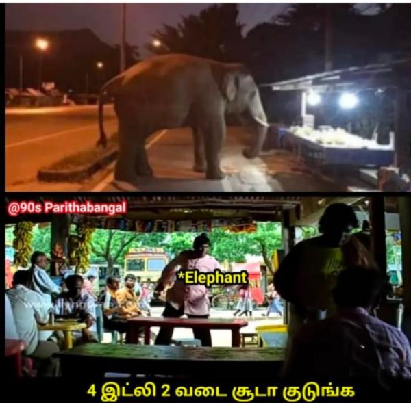 Funny memes collection on sunday 22-01-2023