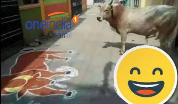 Memes circulating on the internet on the occasion of Mattu Pongal 