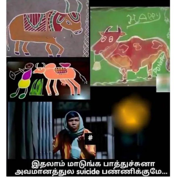 Pongal memes: Funny memes collection on mattu Pongal celebration 16-01-2023