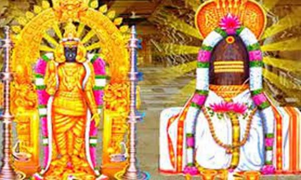 Tirunelvely Nellaiyappar Temple nelluku veliyitta tiruvizha on January 29th 2023 Tirunelvely Nellaiyappar Temple nelluku veliyitta tiruvizha on January 29th 2023