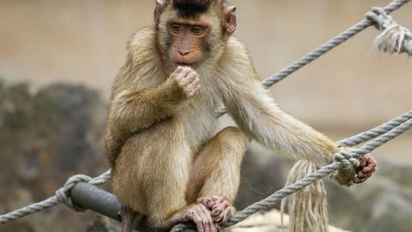 500 அடி பள்ளத்தில் விழுந்தார் 