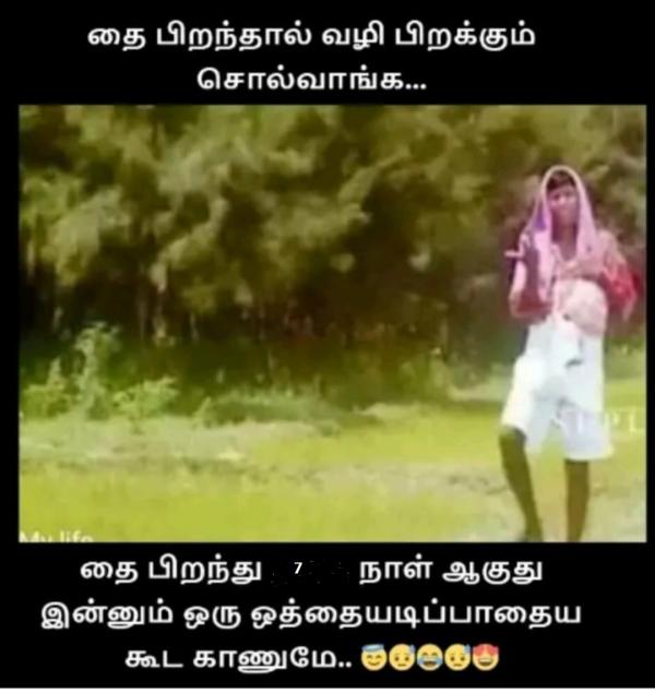 Funny memes collection on sugarcane