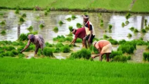 இ-நாம் வர்த்தகம் 