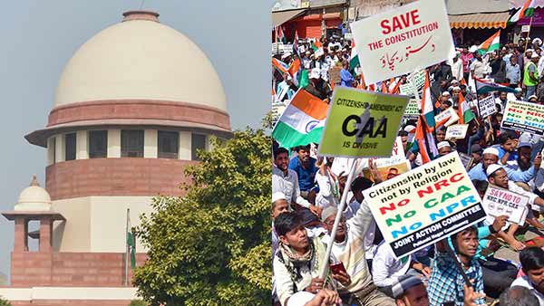 சட்ட விதிகள்