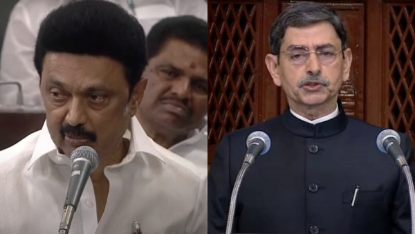 கிரிக்கெட் கிரிக்கெட்