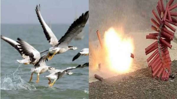 தீபாவளி