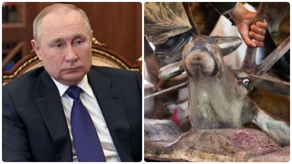 புடினுக்கு சிகிச்சை