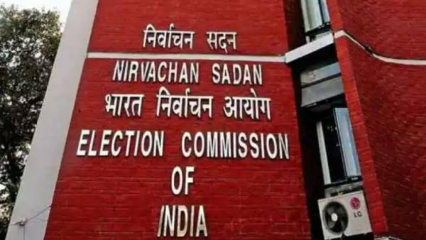  கூவும் சேவல்