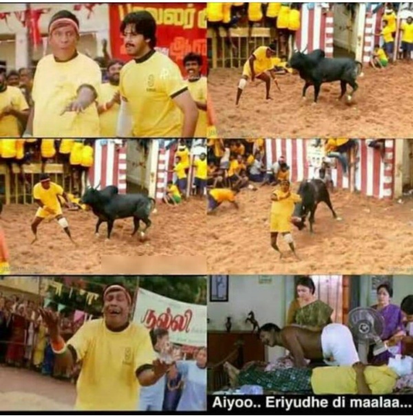 Pongal memes: Funny memes collection on jallikattu