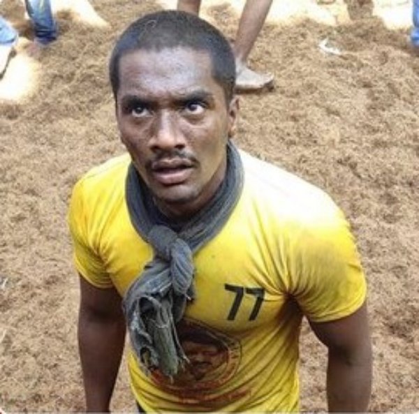 மின் வாரிய ஊழியர் மின் வாரிய ஊழியர்