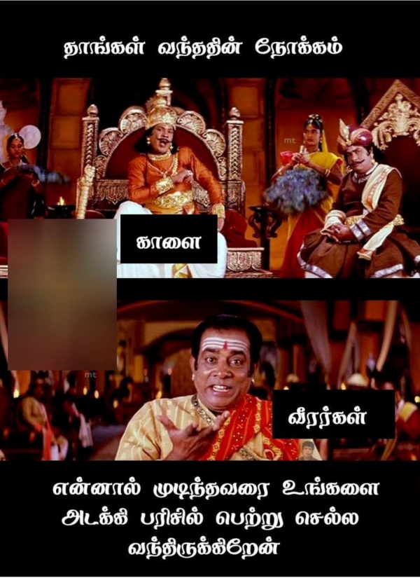 Pongal memes: Funny memes collection on jallikattu