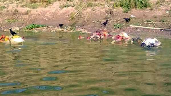 மிகவும் மாசடைந்த நதி மிகவும் மாசடைந்த நதி