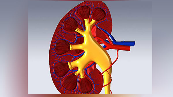 கிட்னி பாதிப்பு 