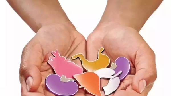 நெகிழ்ச்சி நெகிழ்ச்சி