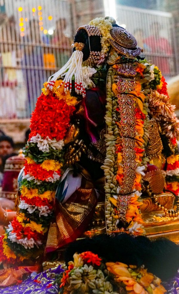 Srirangam vaikunta ekadasi Sorgavasal Tiruapu tomorrow Namperumal blessed as Mohini 