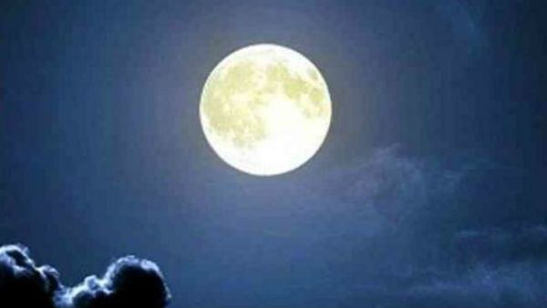 Chandra Dharisanam Today: What is the benefits for Thai matha chandra dharisanam Chandra Dharisanam Today: What is the benefits for Thai matha chandra dharisanam