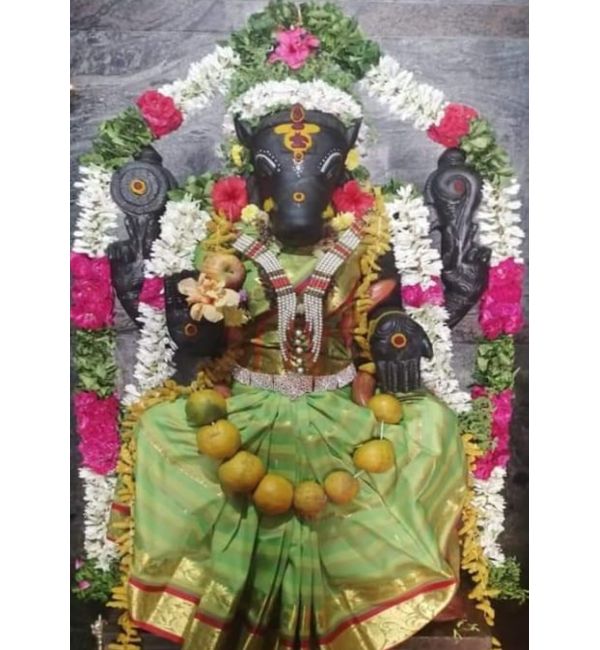 Vasantha Panchami 2023: Significance, tithi, muhurat, puja vidhi 