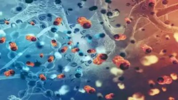 2 மாணவர்களுக்கு நோய் தொற்று