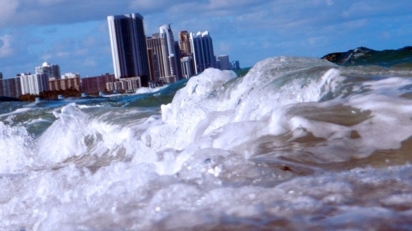 50 செ.மீட்டர் வரை உயரும்