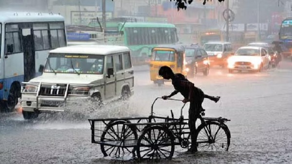  லேசான லேசானது முதல் மிதமான மழை 