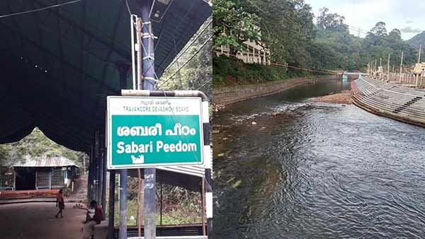 பாக்டீரியா 