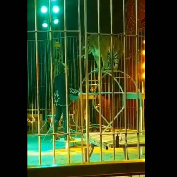 ஆபத்தான விளையாட்டு