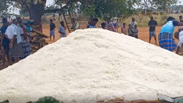 மேய்ச்சல் மேய்ச்சல்