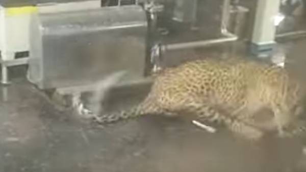 புகைப்படங்கள் புகைப்படங்கள்